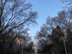 -吉林大学(南岭校区)