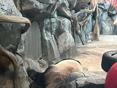 -武汉动物园