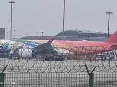 -空港花田景区