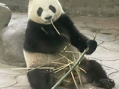 -宁波野生动物园