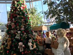 -济州岛泰迪熊博物馆