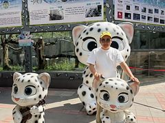 -青藏高原野生动物园