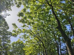 -宜兴龙背山森林公园