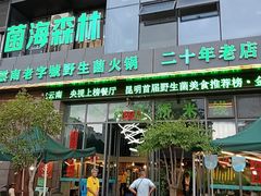 -菌海森林·非遗野生菌火锅(西山区滇池路摩根道店)