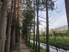 -前小桔亲子创意农场·草莓采摘·露营烧烤
