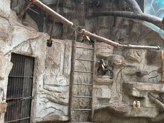 -石家庄市动物园