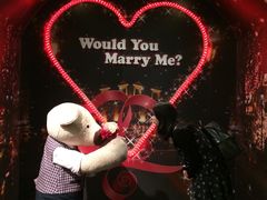 -济州岛泰迪熊博物馆