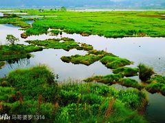 -腾冲北海湿地
