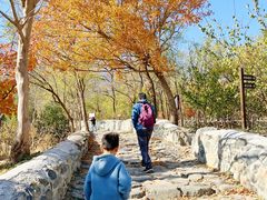 -阳台山自然风景区