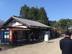 -名古屋城