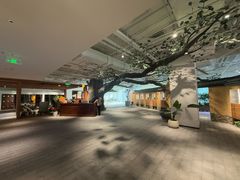 -大视光学•LINDBERG林德伯格•全球手工眼镜集合店(王府井店)