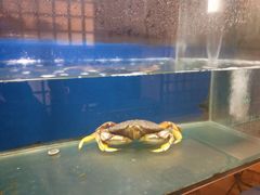 -澳门豆捞(裕华东路店)