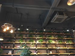 点击看大图 -iplus爱家高端孕妇摄影