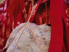-西安大兴善寺