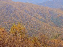 -灵山