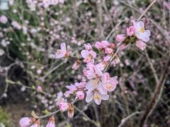 -大连金州博物馆