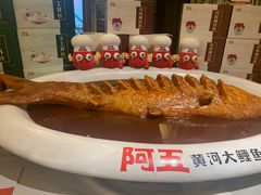 -阿五黄河大鲤鱼(纬三路店)