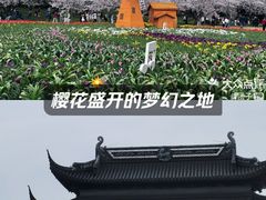 -苏州上方山国家森林公园
