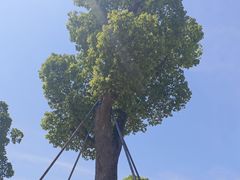 -虞山城墙