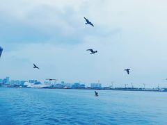 -烟台山景区