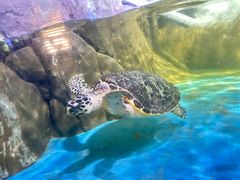 -常州海昌海洋探索馆
