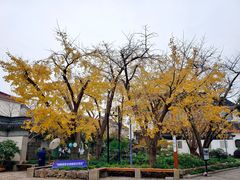 -东山雕花楼