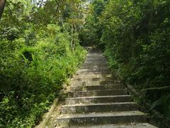 -火炉山森林公园