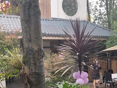-往来·竹里.宝宝宴.生日宴.团建.宴席(花乡农居店)