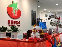 -蕃茄田艺术•美术绘画 •硬笔书法(滨江海威领界店)