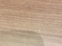 -宁波石浦大饭店(新材料城店)