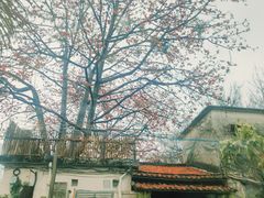 -喜洲吧·江畔老船厂·庭院餐厅(喜临院店)