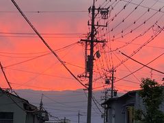 -築地市場食堂(松本駅前店)