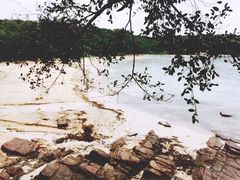 -东平洲海岸公园