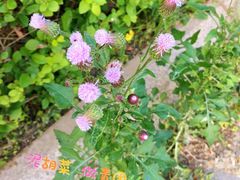 -天津海河悦榕庄·Lobby Lounge大堂吧