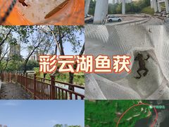 -重庆彩云湖湿地公园