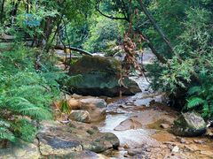 -广州白江湖森林公园