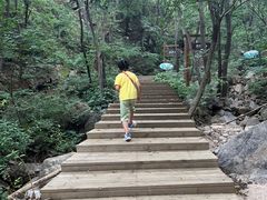 -大岭沟猕猴桃谷风景区