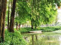 -麦当劳(伟城广场店)