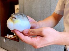 -肆月河豚·新淮扬(金融街店)