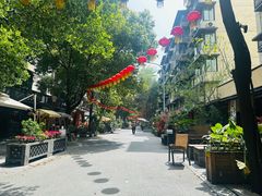 -泡桐树街