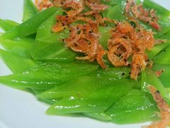 -连鹭海鲜·海肠捞饭·海胆饭(星海店)
