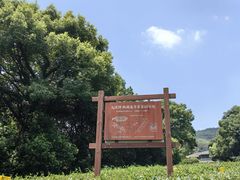 -西湖风景区十里琅珰-五云山