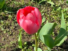 -长春公园(普阳街道)