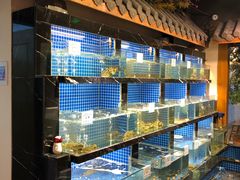 水产区-东门头·江鲜小馆(新天地店)
