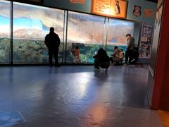 -海合安武汉极地海洋公园