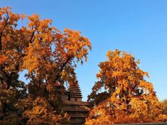 -北京石刻艺术博物馆(五塔寺)
