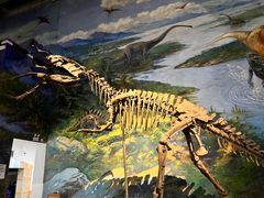 -自贡恐龙博物馆