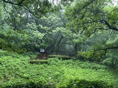 -句容茅山景区