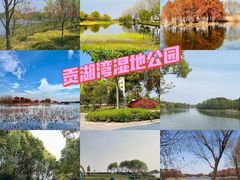 -贡湖湾湿地公园