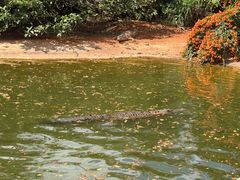 -海南热带野生动植物园